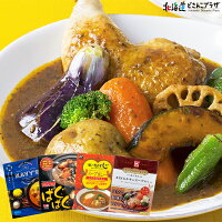 【メーカーより直送】「札幌スープカレー食べくらべセット」北海道レトルトご当地グルメ