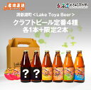 産地出荷「洞爺湖町 Lake Toya Beer クラフトビール定番4種 +限定2本」冷蔵 送料込 北海道 道央 クラフトビール