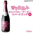 自社出荷「はこだてわいん 香り仕込みキャンベルアーリー スパークリング 赤720ml」常温 送料別 母の日 北海道 ワイン 発泡 やや甘口 スパークリング ワイン はこだて 函館 贈り物 ギフト お祝 プレゼント 受賞