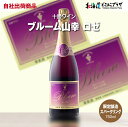 自社出荷「十勝ワイン ブルーム山幸スパークリング ロゼ 750ml」常温 送料別 北海道 ロゼ ワイン 発泡 辛口 スパークリング ワイン 十勝 贈り物 ギフト...