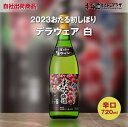 楽天北海道どさんこプラザWEB自社出荷「2023初しぼりデラウェア 白 辛口」常温 送料別 母の日 ワイン 北海道ワイン 白ワイン 酒 北海道 おさけ 美味しい おいしい 小樽ワイン 小樽 おたる お取り寄せグルメ 北海道グルメ ご当地 ギフト