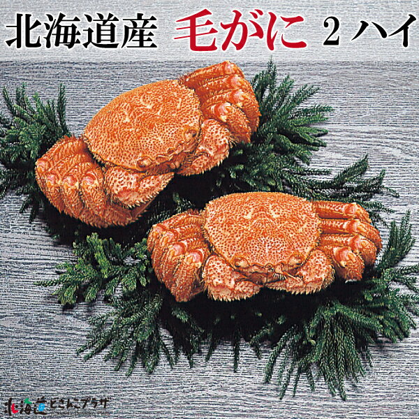 産地出荷「北海道産 毛がに 2ハイ」冷凍 送料込 父の日 毛ガニ カニ 蟹 冷凍蟹 冷凍かに おいしい パーティー 北海道グルメ 美味しい お取り寄せ プレゼント 贈答用 お祝い ギフト 贈り物 北海道土産 お土産