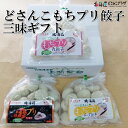 産地出荷「どさんこもちプリ餃子　三昧ギフト」冷凍 送料込 父の日 北海道 餃子 タコ餃子 チーズ餃子 1