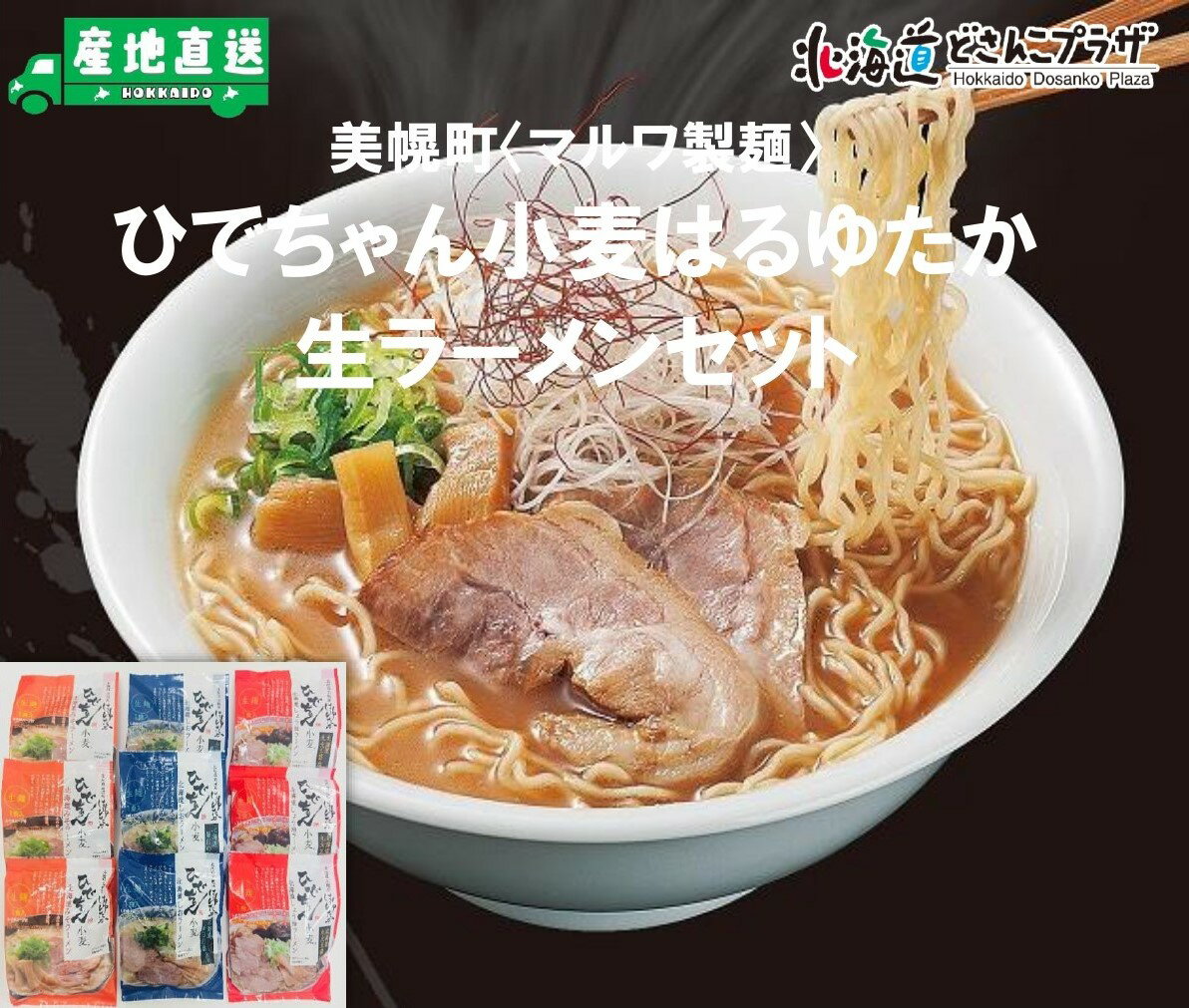 産地出荷「ひでちゃん小麦はるゆたか生ラーメンセット」常温 送料込 北海道 ラーメン 生ラーメン みそ 塩 醬油 はるゆたか ハルユタカ 小麦