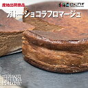 産地出荷「メゾンフジヤ函館 ガトーショコラフロマージュ12cm」冷凍 送料込 母の日 北海道 チーズケーキ スイーツ 洋菓子 ギフト プレゼント チョコレート ショコラ お祝 御礼