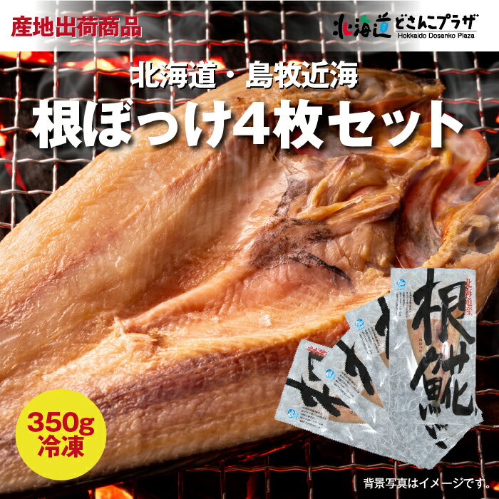 産地出荷 根ぼっけ4枚セット 冷凍 送料込 父の日 北海道 魚 ほっけ 海鮮 酒の肴 一夜干 ギフト