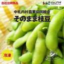 自社出荷「そのまま枝豆 300g」冷凍 送料別 北海道 枝豆 えだまめ エダマメ お取り寄せグルメ 茹で枝豆 冷凍食品 美味しい 冷凍枝豆 北海道産 宅飲み パ...