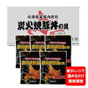 豚丼の具 送料無料 北海道 十勝 豚丼 冷凍 簡単調理 炭火焼豚丼の具 ぶた丼 タレ付き 100g×5 化粧箱入 豚丼レトルト 北海道産 豚肉 使用 ぶたどん ...