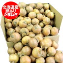 北海道 わけあり 玉ねぎ 送料無料 たまねぎ タマネギ 玉葱 20kg ( 20キロ ) Sサイズ たまねぎ 訳あり 玉ねぎ 野菜 たまねぎ