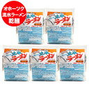 流氷ラーメン 送料無料 流氷 ラーメン 味噌 北海道 オホーツク 流氷ラーメン 味噌ラーメン 乾麺 1個×5 みそ ラーメン 麺類