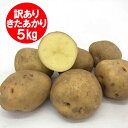 訳あり 北あかり じゃがいも 送料無料 きたあかり 5kg 北海道 じゃがいも Mから3Lサイズ 北海道 野菜 キタアカリ