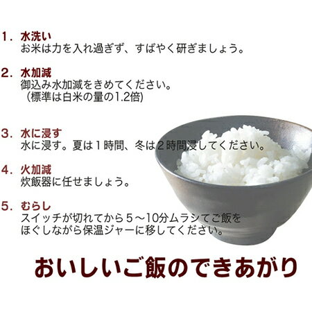米 北海道産米 きらら397 送料無料 北海道米 きらら397 ぴっぷ産米 北海道産 米 きらら 397 ごはん うるち米 精米 お米 白米　米 北海道産米 きらら397 送料無料 北海道米 きらら397 ぴっぷ産米 950g×1袋 北海道産 米 きらら 397 ごはん うるち米 精米 お米 白米