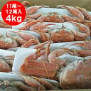 北海道産 オオズワイガニ ボイル かに 姿 送料無料 オオ ズワイガニ 姿 11尾 ~ 12尾入り 合計4kg前後 カニ 蟹 かに 北海道 魚介類 水産加工品 カニ ずわい