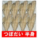 ツボダイ 干物 送料無料 つぼだい 半身 ツボ鯛 一夜干し 真空 350g×8枚セット 魚介類 水産加工品 干物 ひもの 魚