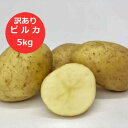 訳あり 北海道 じゃがいも ピルカ 北海道産 じゃがいも 5kg Mから3Lサイズ 北海道 ジャガイモ 野菜 じゃがいも