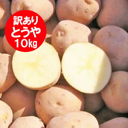 楽天市場】じゃがいも lサイズ 10kgの通販 楽天市場】じゃがいも lサイズ 10kgの通販