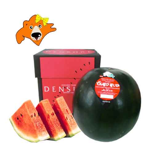 随時発送中 でんすけスイカ 送料無料 でんすけすいか 秀品 北海道 すいか 当麻産 でんすけ すいか ...