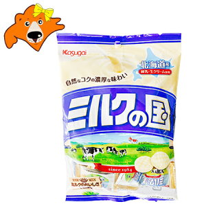 送料無料 北海道 ミルクの国 キャンディ 1袋×125g 価格 501 円 北海道産 練乳 生クリーム 使用 あめ 飴