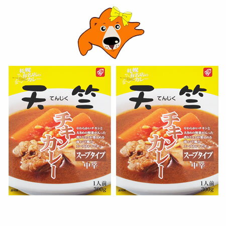 札幌 スープカレー 送料無料 天竺 チキンカレー スープカレー 中辛 1個×2 サッポロ スープカレー てんじく チキン カレー