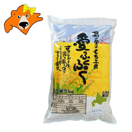 北海道 風の子もち米 送料無料 もち米 5kg 北海道産 もちごめ 単一原料米 餅米