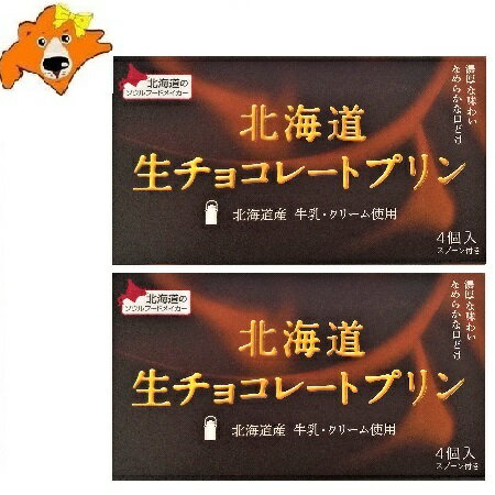 北海道 生チョコレート プリン スイーツ 送料無料 プリン 常温 プリンギフト ベル食品 1箱 4個入 2個 生 チョコレート