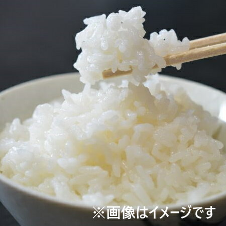 米 北海道産米 きらら397 送料無料 北海道米 きらら397 ぴっぷ産米 北海道産 米 きらら 397 ごはん うるち米 精米 お米 白米　米 北海道産米 きらら397 送料無料 北海道米 きらら397 ぴっぷ産米 950g×1袋 北海道産 米 きらら 397 ごはん うるち米 精米 お米 白米