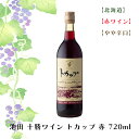 池田 十勝ワイン トカップ 赤 720ml【赤ワイン】 お酒 ワイン 葡萄 ブドウ ぶどう 十勝 FUJI 御中元 御歳暮 母の日 こどもの日