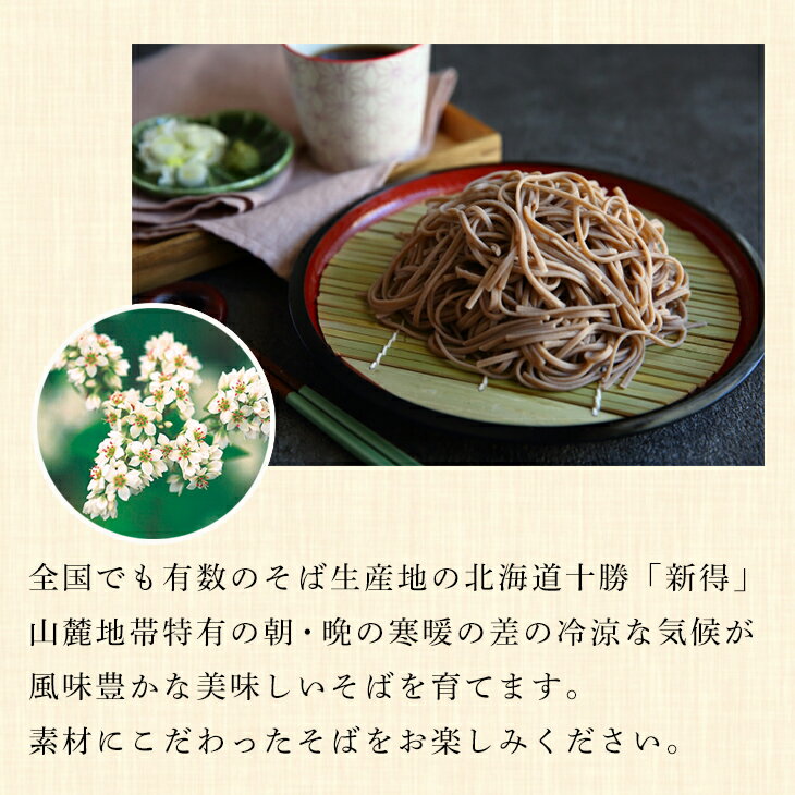 新得そば そば 国産 蕎麦 蕎麦つゆ 乾麺 ギフト セット 乾麺詰合せ SB-30NT FUJI 倉出 新得 そば 乾麺 産 素材の風味 ギフト 贈り物 贈答 内祝い 結婚祝い 出産祝い お返し お中元
