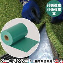 人工芝 シート ターポリンシート(接着剤塗布用シート) TSG-20 自然 リアル 高級感 庭 ガーデニング おしゃれ 芝 DIY ベランダ パット 耐久性 塩...