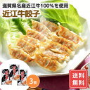 餃子 冷凍 冷凍食品 お取り寄せ ぎょうざ 滋賀 近江牛 餃子 3箱セット (計45個) 送料無料 詰合せ 詰め合わせ シイレル お中元