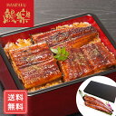 うなぎ ウナギ unagi 国産 丑の日鰻楽 九州産うなぎ蒲焼 2尾 280g 送料無料 和風 惣菜 シイレル お中元