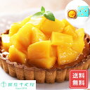 タルト ケーキ フルーツタルト お取り寄せ 銀座千疋屋 銀座タルト マンゴー 直径15cm 送料無料 マンゴータルト フルーツタルト 5号 5号 マンゴー 千疋...