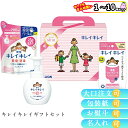 楽天ギフト＆グルメ N43° 北海道【まとめ買いあり】 ライオン キレイキレイ ギフトセット LKG-10V 倉出 ハンドソープ 泡 詰め替え キレイキレイ 泡 石鹸 石けん 除菌シート 詰め替え用 ギフト 内祝い お返し 出産内祝い FUJI 御中元 御歳暮 母の日 こどもの日