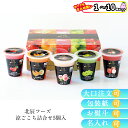 北辰フーズ 涼ごこち詰合せ5個入 FJ-5B 倉出 フルーツゼリー シャーベット 夕張メロン グルメ お歳暮 FUJI