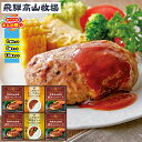 【まとめ買いあり】ハンバーグ ギフト ハンバーグ 温めるだけ カレー レトルト 詰め合わせ 焼きハンバーグ&カレーセット BHF-EJR ハンバーグ セット お...