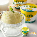 アイス ギフト フルーツ アイス 詰め合わせ 大量 レトロ 可愛い パッケージ レモン牛乳カップ12個 シイレル お中元