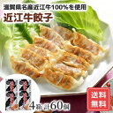 餃子 冷凍 冷凍食品 お取り寄せ ぎょうざ 滋賀 近江牛 餃子 4箱セット 計60個 送料無料 惣菜 シイレル お中元