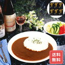 カレー レトルト 詰め合わせ セット ギフト 送料無料 飛騨牛カレー 送料無料 詰合せ 詰め合わせ シイレル お中元