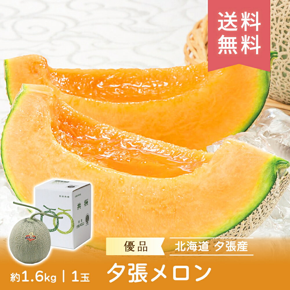 【数量限定】【7月上旬～7月下旬】 旬 夕張メロン 優品 約1.6kg 1玉 FUJI 産地直送 送料無料 メロン 旬 フルーツ セット 果物 ギフト フルーツ 詰合せ 内祝い 内祝い 御中元 御歳暮 母の日 こどもの日