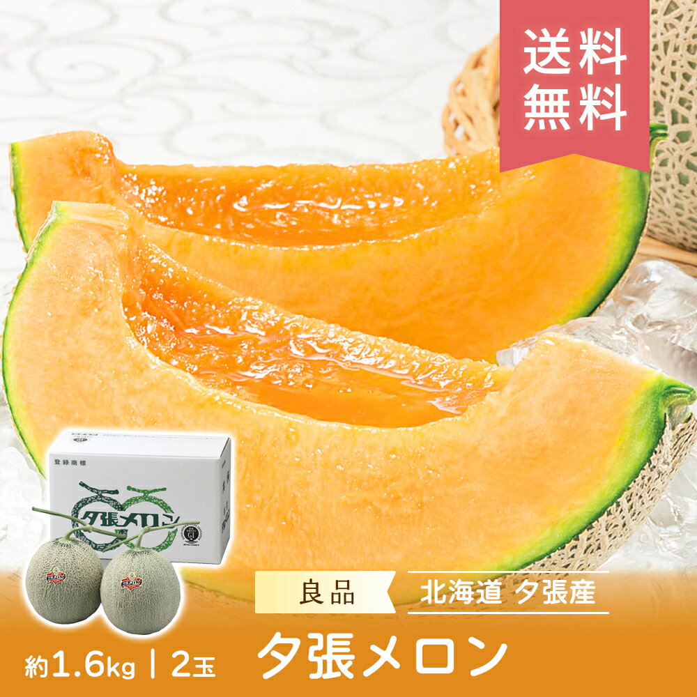 【数量限定】【7月上旬～7月下旬】 旬 夕張メロン 良品 約1.6kg 2玉 FUJI 産地直送 送料無料 メロン 旬 フルーツ セット 果物 ギフト フルーツ 詰合せ 内祝い 内祝い 御中元 御歳暮 母の日 こどもの日