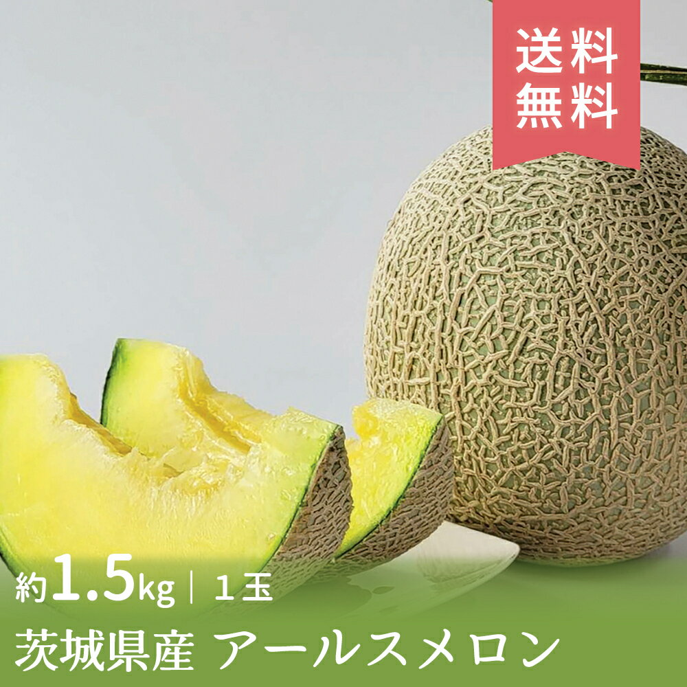 【7月中旬から順次発送】 茨城県産　アールスメロン1玉 産地直送 送料無料 グルメ グルメ 内祝い お返し FUJI 入学 卒業 祝い 御中元 御歳暮 母の日 こどもの日