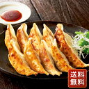 餃子 ぎょうざ 冷凍 冷凍食品 お取り寄せ 国産 宇都宮 栃木 宇都宮餃子「さつき」セット (さつき×15 ゆず×15 野洲×15)送料無料 シイレル お中元 ...