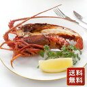 伊勢海老 えび おせち 冷凍 ギフト 徳島 「吟月」 伊勢海老ステーキ B 送料無料 シイレル お中元 お年賀(4)