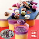 団子 芋 スイーツ ギフト 和菓子 熊本 芋屋長兵衛 お芋のカラフルセット 送料無料 お年賀 シイレル 食品ギフト お取り寄せグルメ