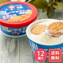 アイスクリーム お取り寄せ 詰め合わせ ギフト 誕生日 高知 ミレービスケットアイス 100ml×12個 送料無料 シイレル お中元 お年賀
