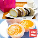 フルーツゼリー 和歌山みかん 果汁たっぷり ケーキ 大福 ギフト 詰め合わせ お取り寄せ カットロールアソート&みかん大福 詰め合わせセット 送料無料 お年賀 シイレル 贈答用スイーツ 詰め合わせ