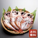 山口 のどぐろ開き干し 8尾セット 送料無料 お年賀 シイレル 食品ギフト お取り寄せグルメ