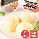 北海道 夕張メロンアイス(9個) 送料無料 シイレル お中元 お年賀 贈答用 ギフト用 お取り寄せ 人気 おすすめ 特価 お歳暮 お中元 父の日 母の日 こども...