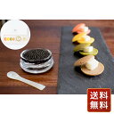 宮崎キャビア 1983 JCAVIAR カラフルブリニセット送料無料 シイレル お中 贈答用 ギフト用 お取り寄せ 人気 おすすめ 特価 お中元 お年賀 高級食...