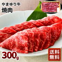 神奈川 やまゆり牛 焼肉 送料無料 贈答用 ギフト用 お取り寄せ 人気 おすすめ 特価 お年賀 高級食材 シイレル 食品ギフト お取り寄せグルメ